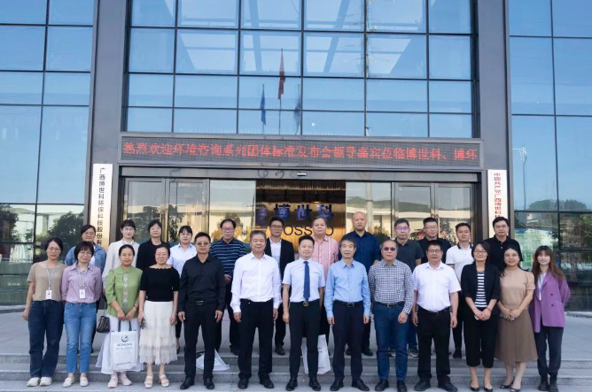 6355f60d11a54.png 13.png